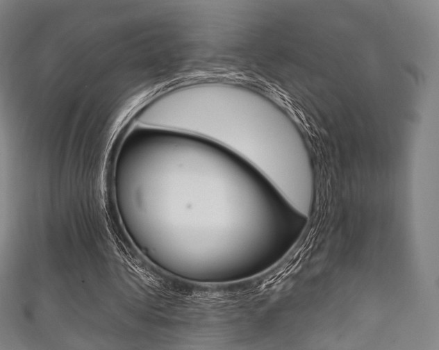 X0000111860340200907231135