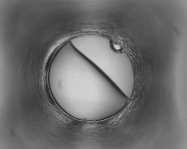 X0000111860342200907231135