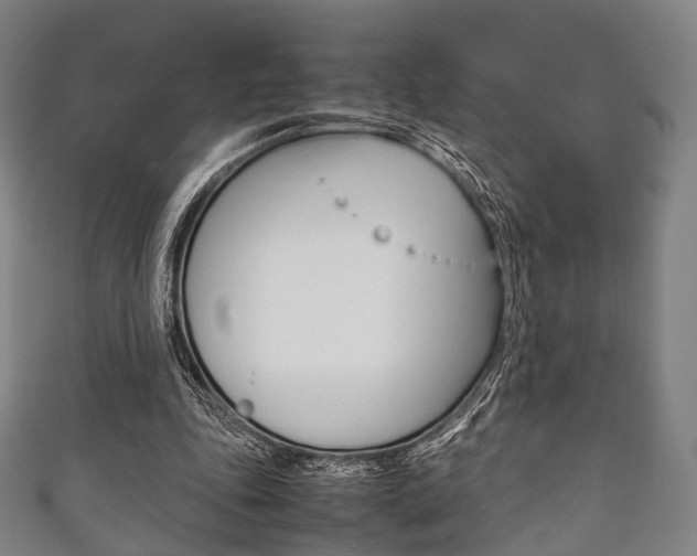 X0000111860343200907231135