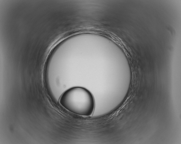 X0000111860344200907231135