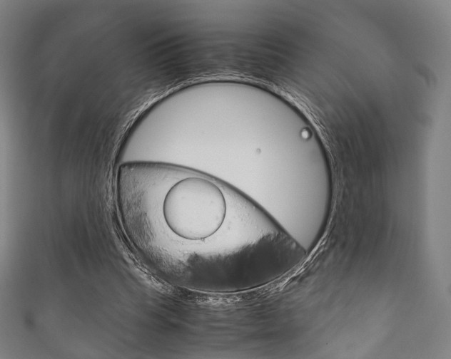 X0000111860345200907231135