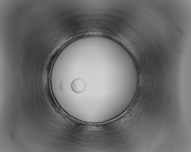 X0000111860347200907231135
