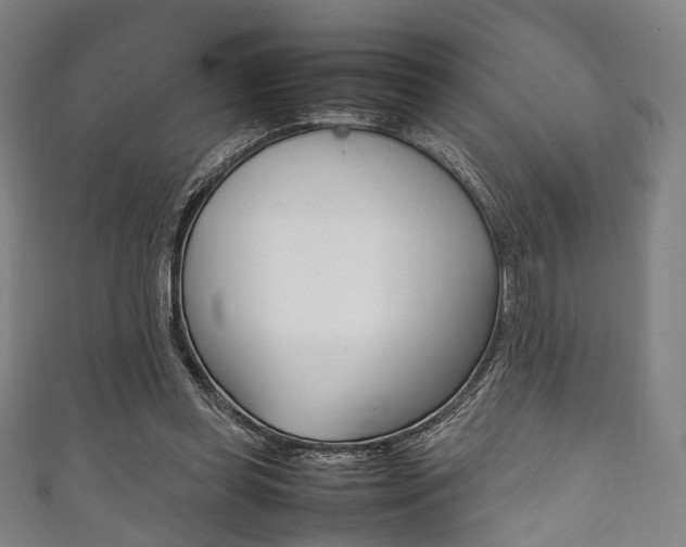 X0000111860349200907231135