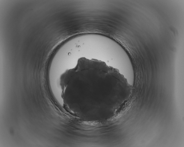 X0000111860351200907231135
