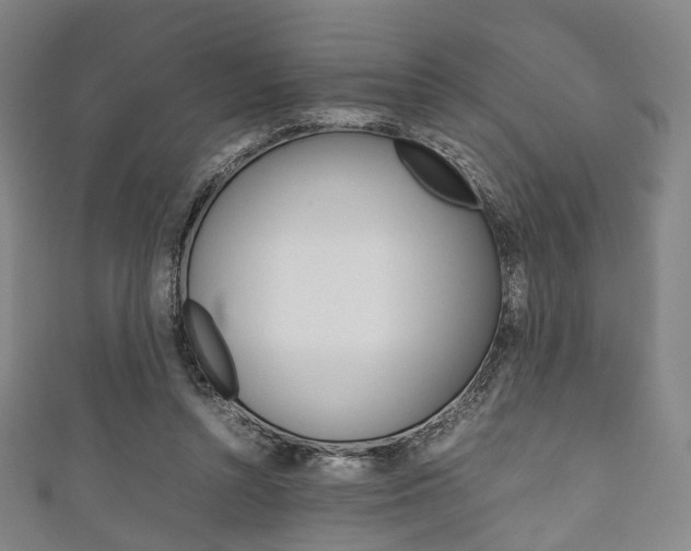 X0000111860352200907231135