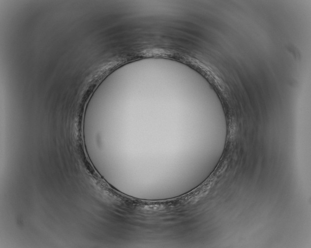 X0000111860353200907231135