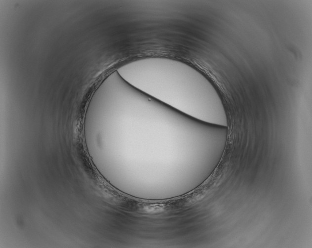X0000111860355200907231135