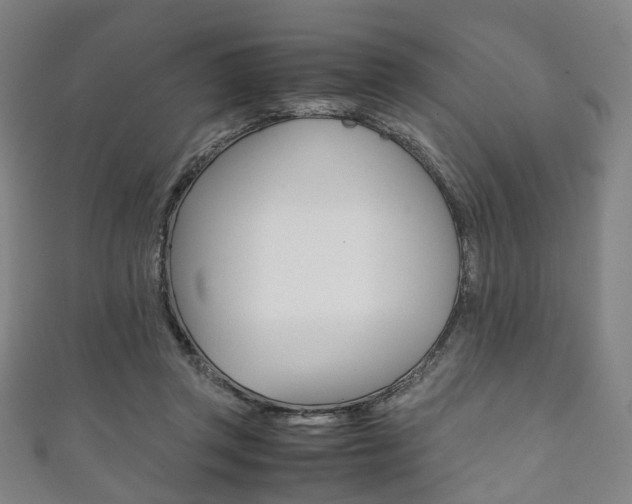 X0000111860357200907231135