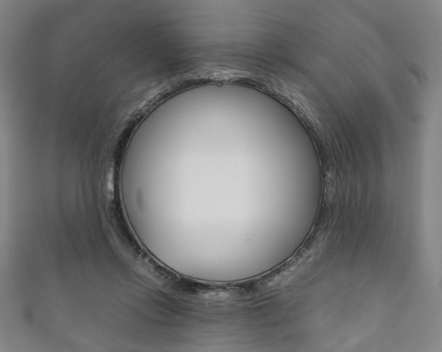 X0000111860358200907231135