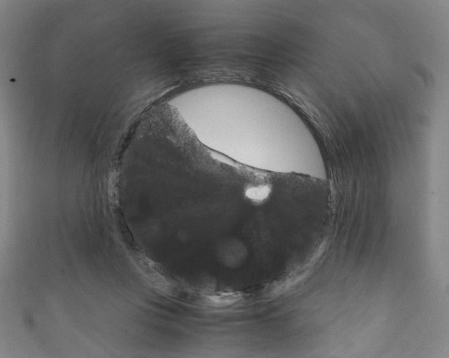X0000111860359200907231135