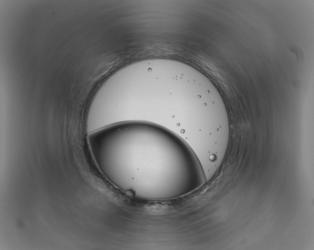 X0000111860362200907231135