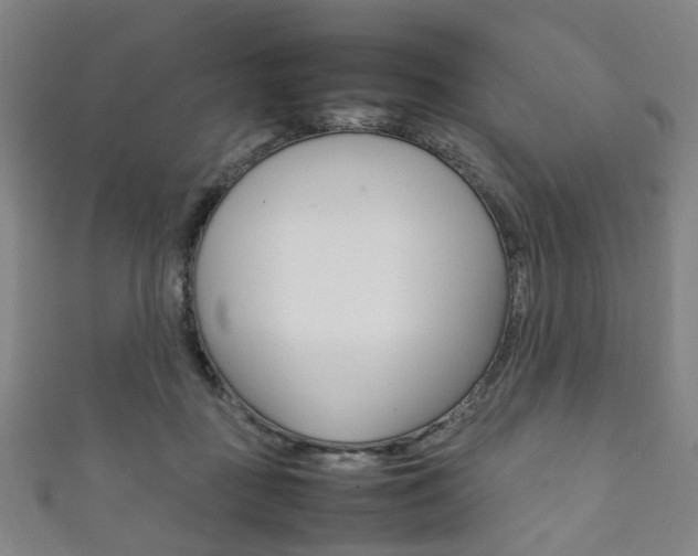 X0000111860363200907231135