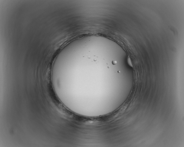 X0000111860364200907231135