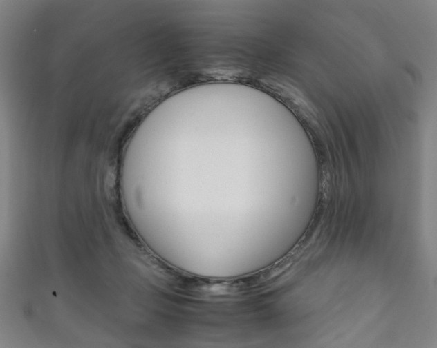 X0000111860365200907231135