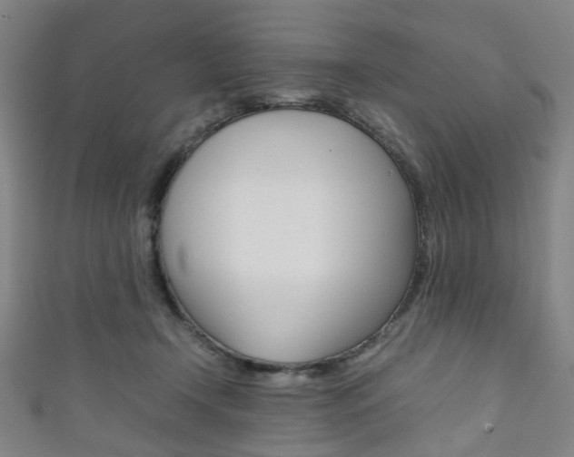 X0000111860366200907231135