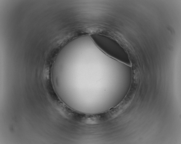 X0000111860368200907231135