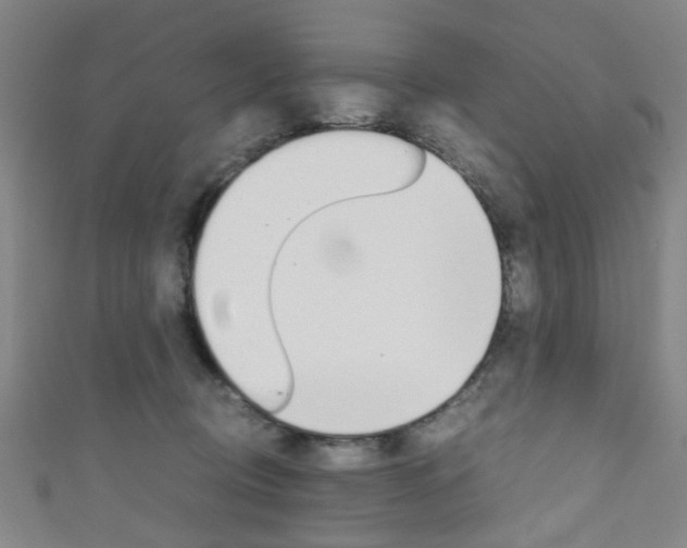 X0000111860370200907231135