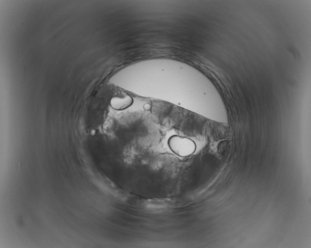 X0000111860373200907231135