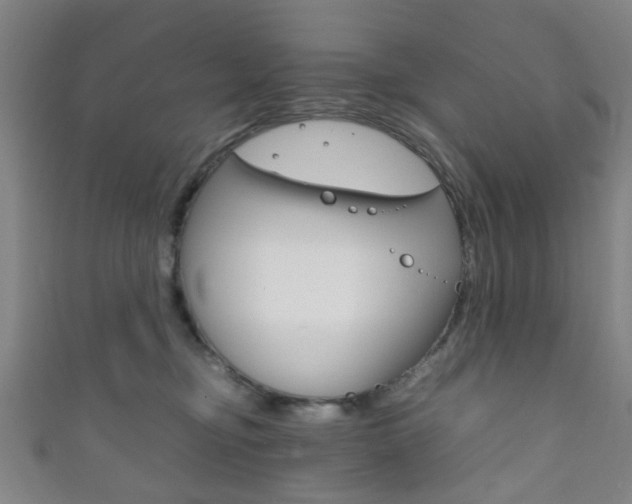 X0000111860374200907231135