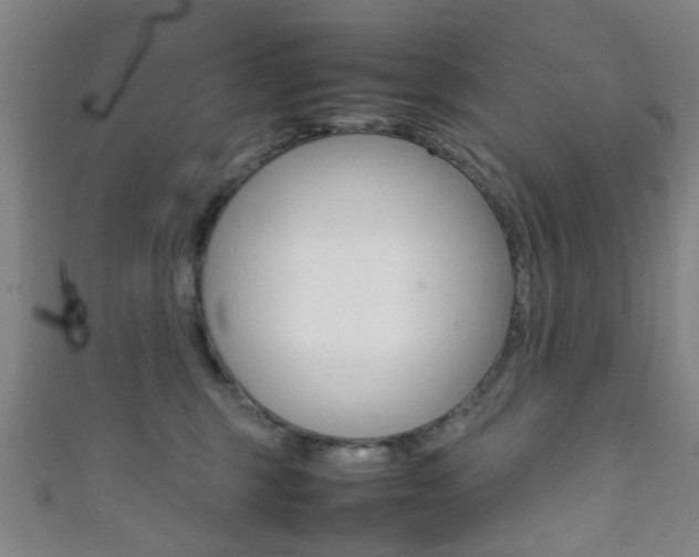 X0000111860375200907231135