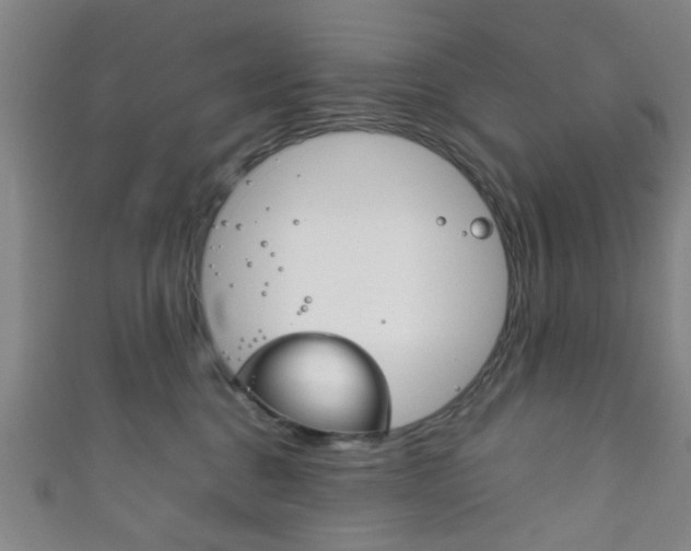 X0000111860376200907231135
