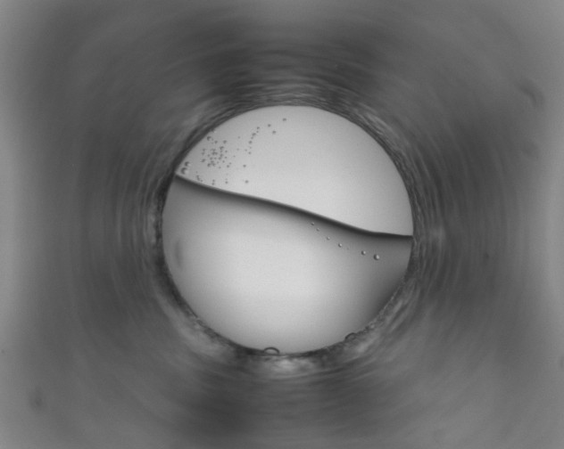 X0000111860379200907231135
