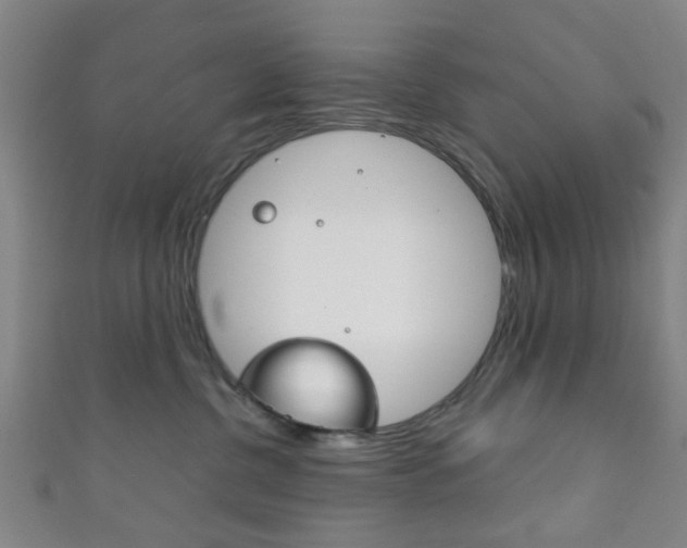 X0000111860380200907231135