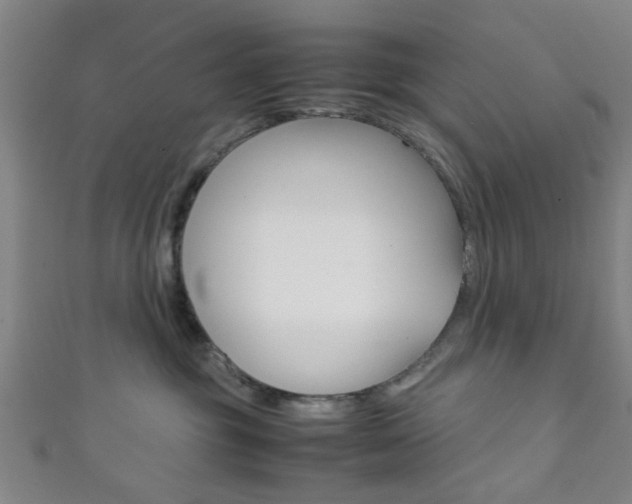X0000111860381200907231135