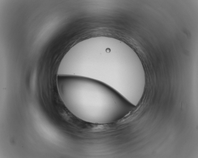 X0000111860382200907231135