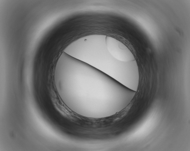X0000111860383200907231135
