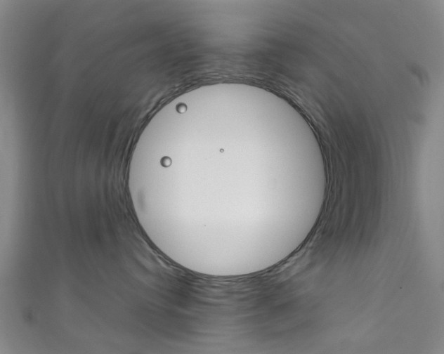 X0000111860384200907231135