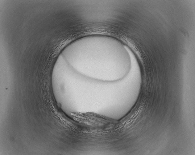 X0000111860385200907231135