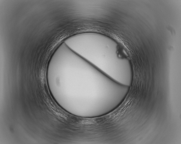 X0000111860386200907231135