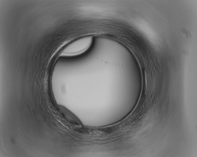 X0000111860387200907231135