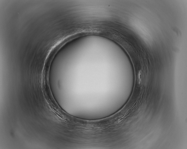 X0000111860388200907231135