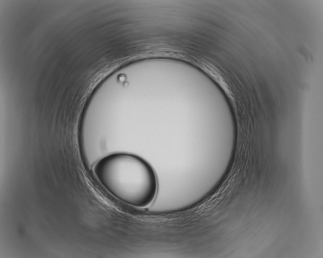 X0000111860389200907231135