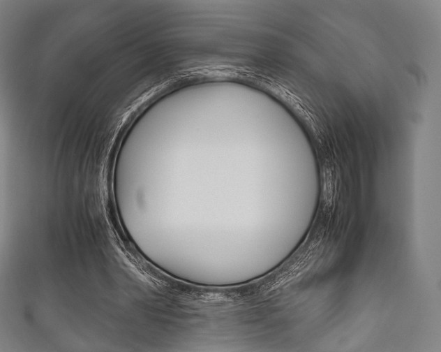 X0000111860390200907231135