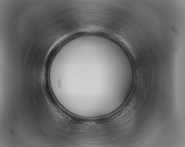 X0000111860392200907231135