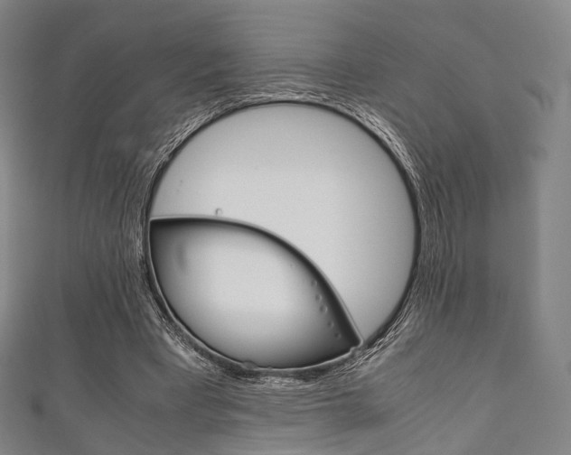 X0000111860393200907231135