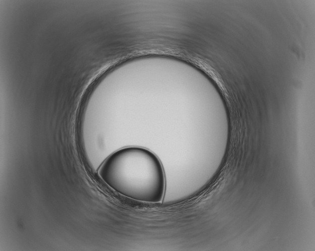 X0000111860395200907231135