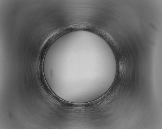 X0000111860396200907231135
