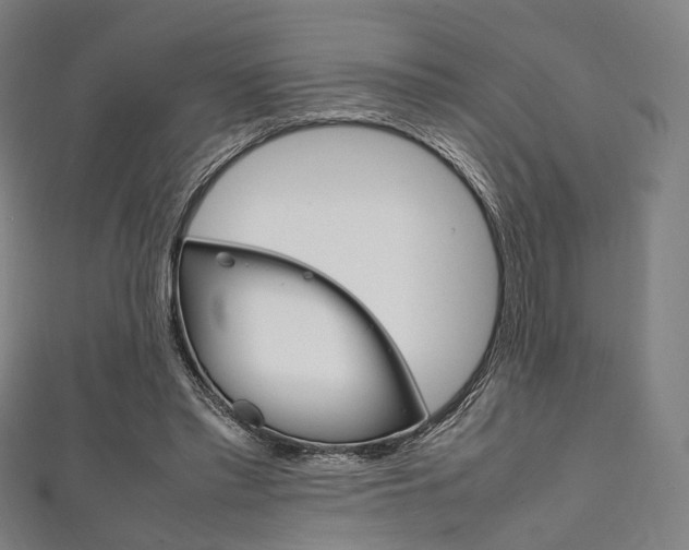 X0000111860397200907231135