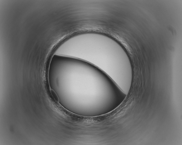 X0000111860399200907231135