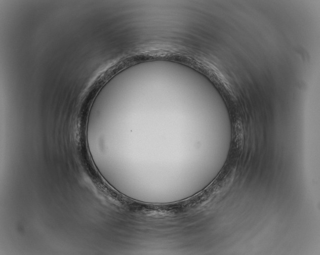 X0000111860400200907231135