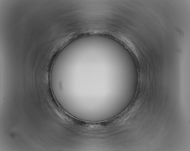 X0000111860401200907231135