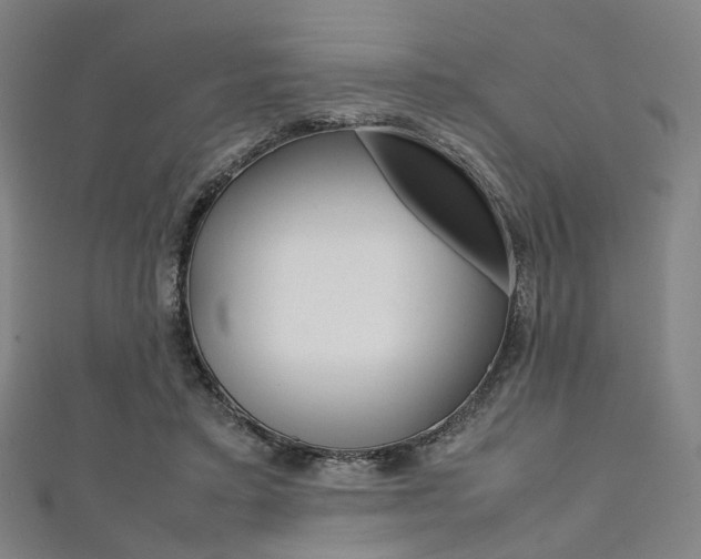 X0000111860403200907231135