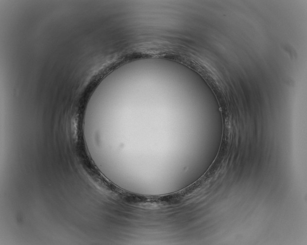 X0000111860404200907231135