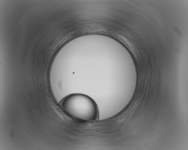 X0000111860405200907231135