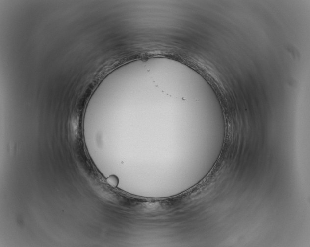 X0000111860406200907231135