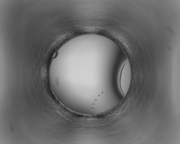 X0000111860407200907231135
